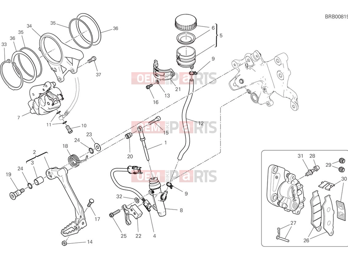 DUCATI 2024 Multistrada V4 RS Rear brakes system