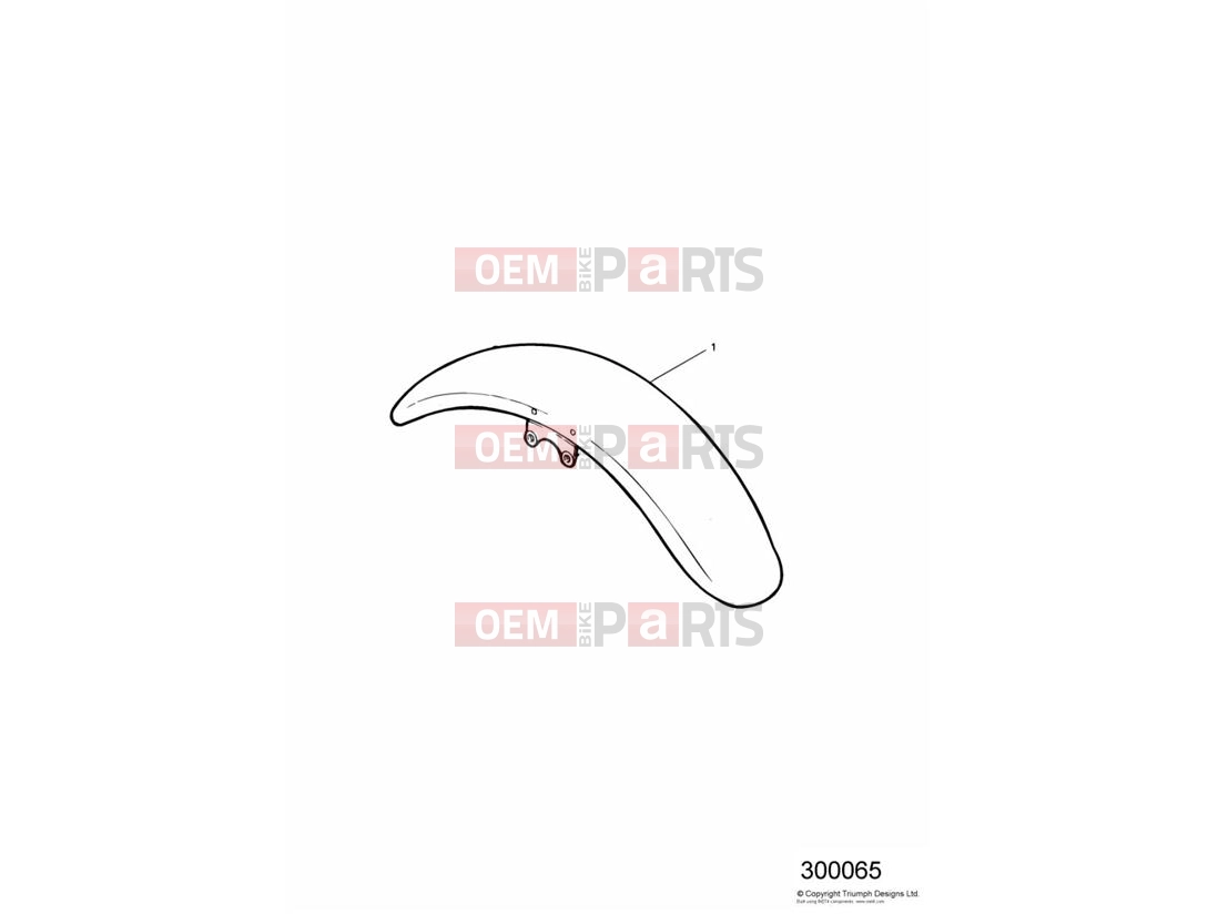 Triumph 2002 THUNDERBIRD Two Tone Front Mudguard