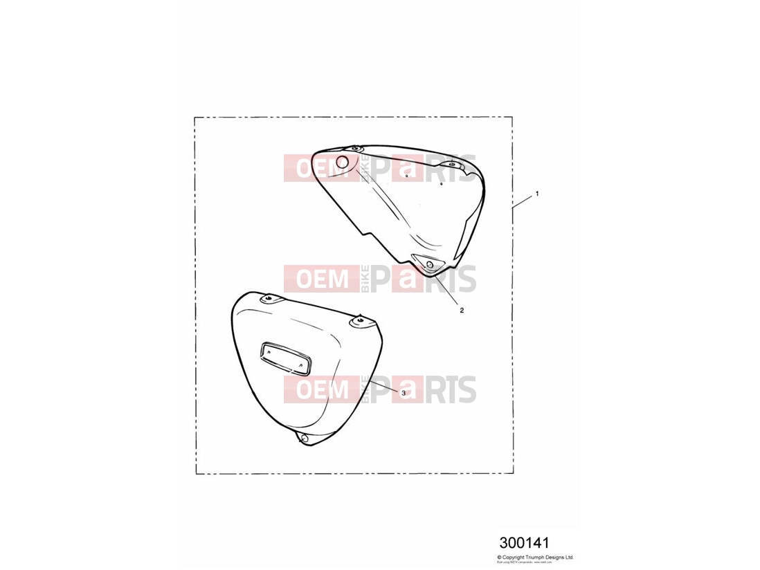 Side Panel Kit (Colour Co-ordinated) - Triumph THUNDERBIRD 2002