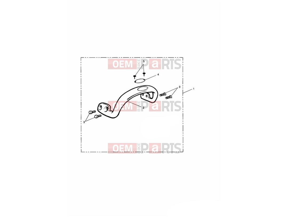 Grab Rail - Mark 1 - Triumph THUNDERBIRD 2002