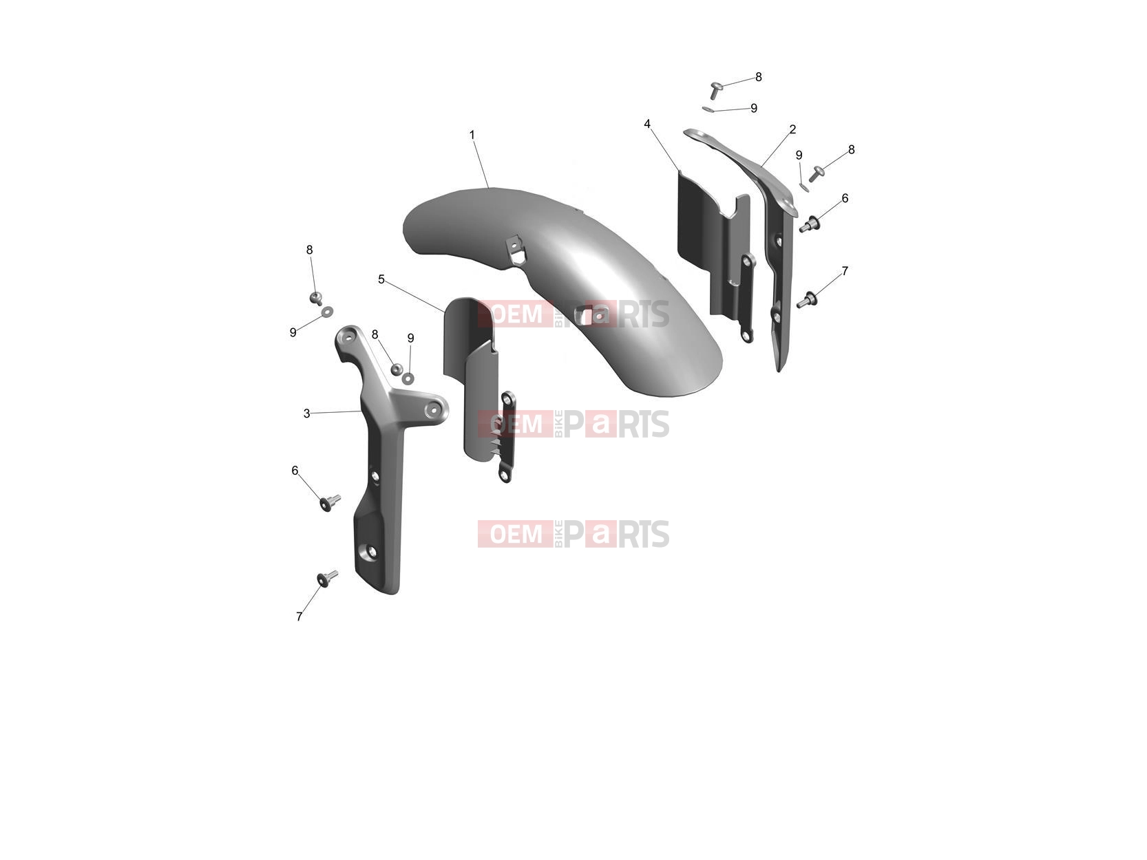 Triumph 2024 Speed 400 Front Mudguard