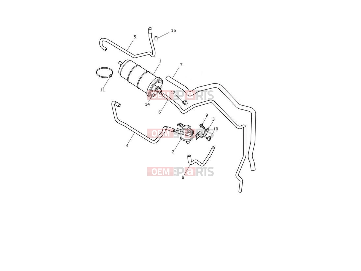 Triumph 2022 Trident 660 Evap System