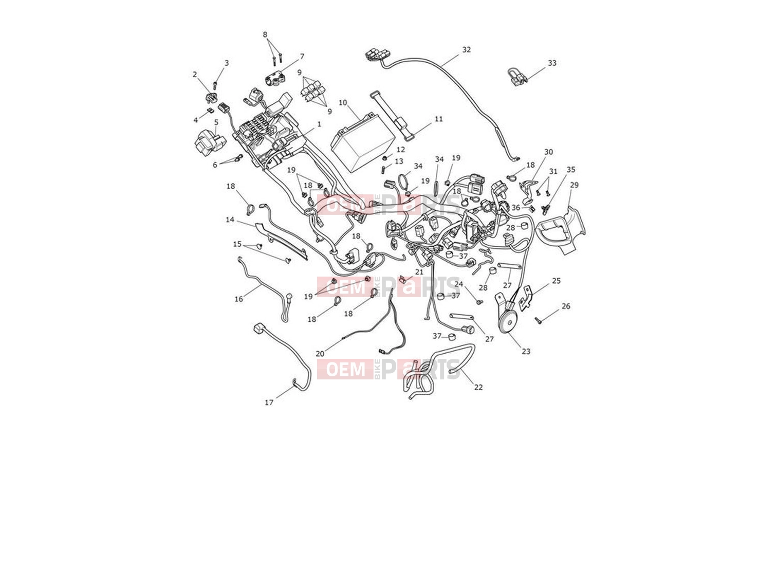 Triumph 2023 Trident 660 Electrical System