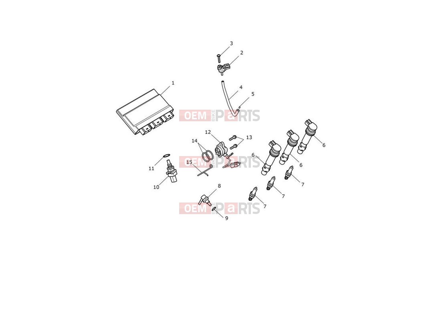 Triumph 2023 Trident 660 Engine Management