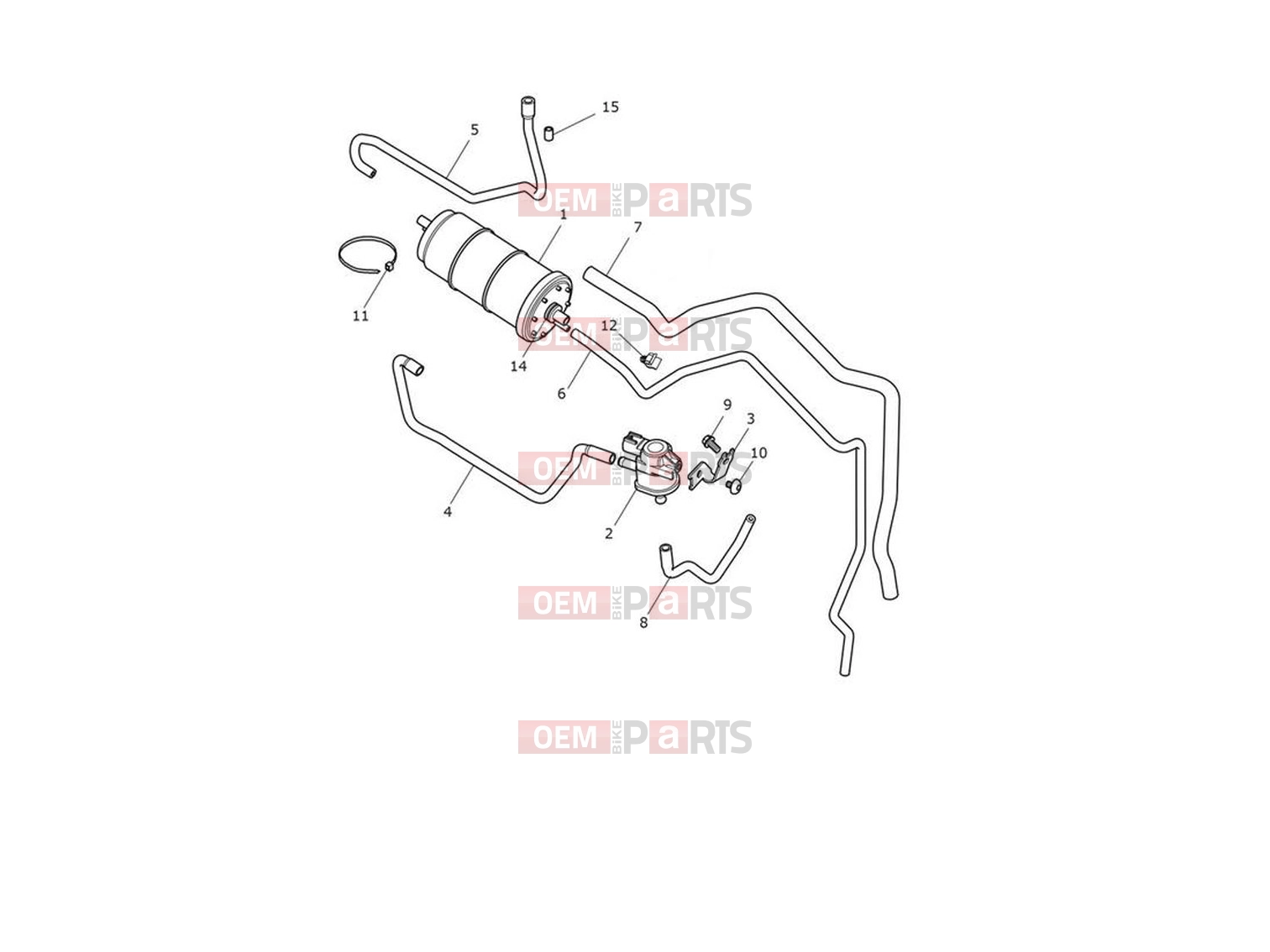 Triumph 2024 Trident 660 Evap System