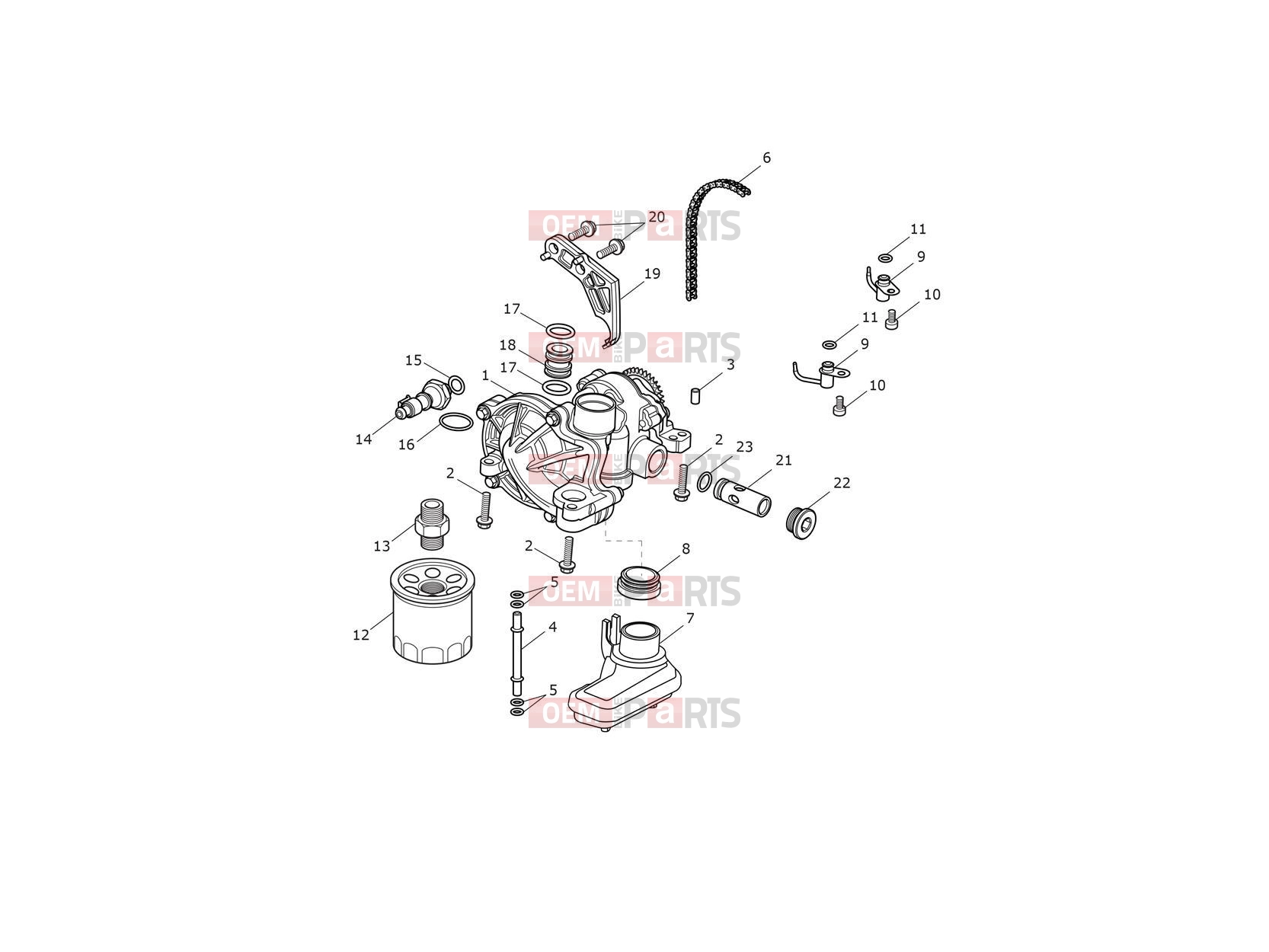 Lubrication System - Triumph Thruxton RS 2023