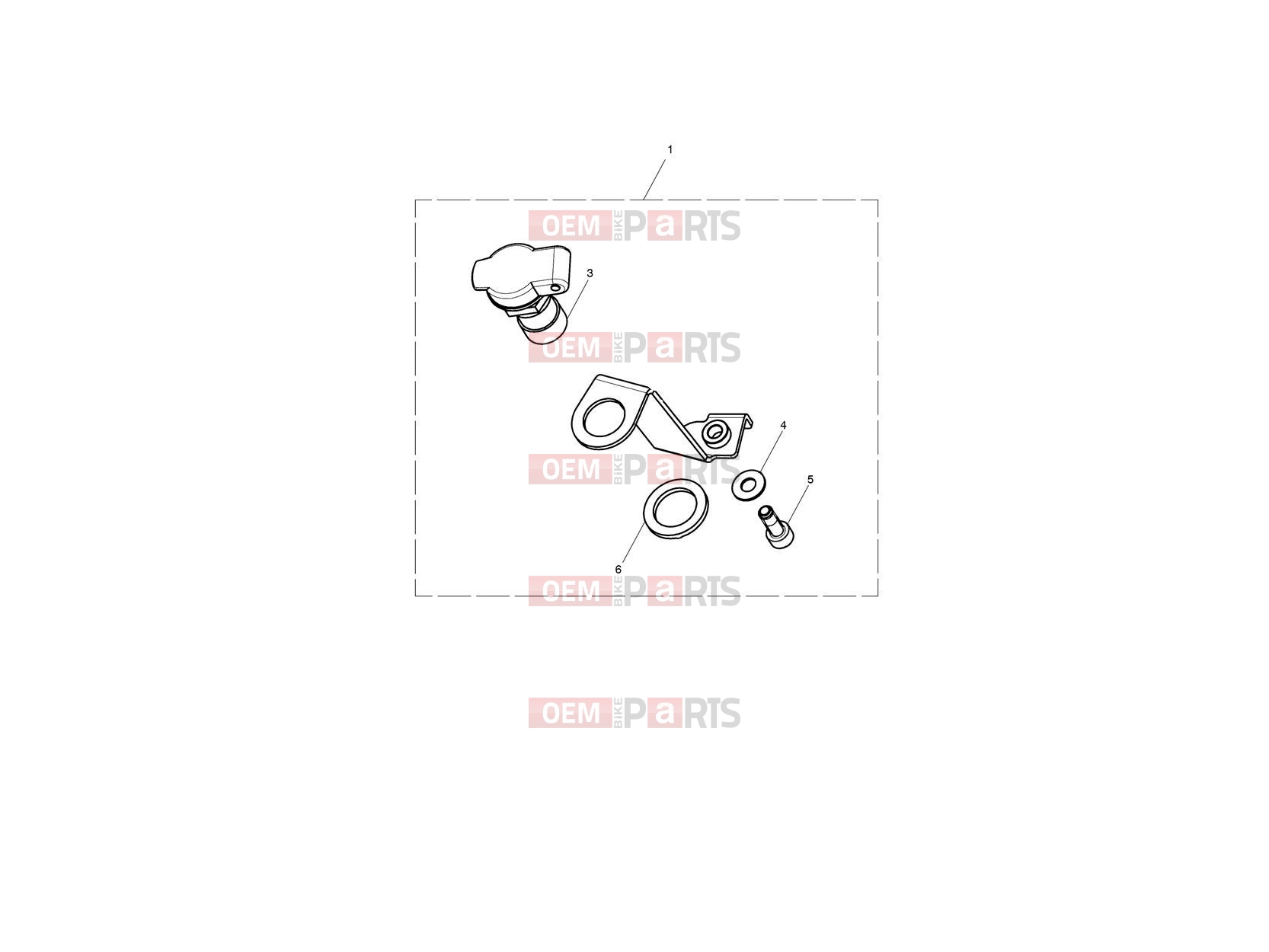 Triumph 2023 Thruxton RS Auxiliary Power Socket