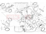 DUCATI 2014 Monster 795 ABS THROTTLE BODY » INTAKE, CARBURETTOR