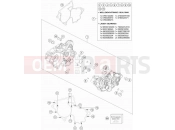 HUSQVARNA 2017 Offroad TC 250 (F2301Q1) [EU] ENGINE CASE|Engine|30