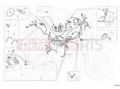 DUCATI 2012 Monster 659 ABS WIRING HARNESS » WIRING HARNESS