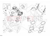 DUCATI 2010 Superbike 1198 S Corse THROTTLE BODY » INTAKE, CARBURETTOR