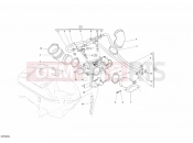 DUCATI 2009 Sportclassic GT1000 THROTTLE BODY » INTAKE, CARBURETTOR