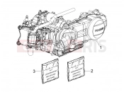 PIAGGIO BV 250 (U.S.A.) motor