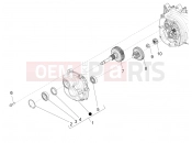 PIAGGIO BV 350 4T 4V ie E3 ABS ( USA / CA ) Reduction unit