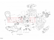 DUCATI 2008 Superbike 1098 S TIMING BELT » UNCLASSIFIED