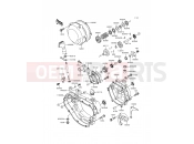 Engine Cover(s) - Kawasaki KDX200 (KDX200-E4) 1992