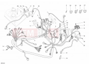 DUCATI 2007 Monster 695 WIRING HARNESS » WIRING HARNESS