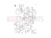 KAWASAKI D-TRACKER (KLX250-J2) Engine Cover(s)
