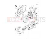 Engine Cover(s) - Kawasaki VERSYS (KLE650B8F) 2008