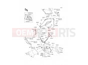 KAWASAKI 2009 Cowling Lowers
