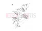 Engine Cover(s) - Kawasaki NINJA 250R (EX250K9F) 2009