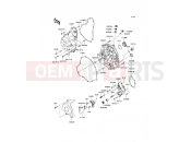 KAWASAKI 2009 Engine Cover(s)