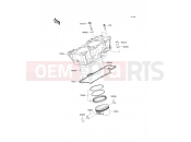 KAWASAKI 2009 Cylinder/Piston(s)