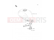 KAWASAKI 2011 Fuel Pump