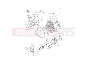 KAWASAKI 2012 Engine Cover(s)