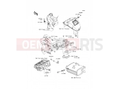KAWASAKI 2012 Fuel Injection