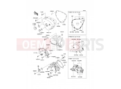 KAWASAKI W800 (EJ800AEF) Left Engine Cover(s)
