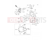KAWASAKI W800 (EJ800AEF) Right Engine Cover(s)