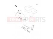 KAWASAKI W800 (EJ800AEF) Labels