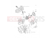 KAWASAKI 2016 Oil Pump