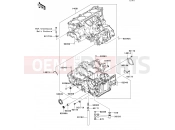 KAWASAKI 2007 Crankcase