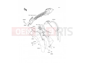 KAWASAKI 2007 Front Fender(s)