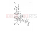 Cylinder Head/Cylinder - Kawasaki KX60 (KX60-B3) 1987