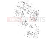 MV Agusta Dragster 800 Gear Selector Assembly