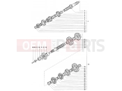 Gear Box Assembly - MV Agusta 2002-2003 F4 750S 1+1