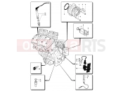 MV Agusta 2004 F4 AGO Engine Electric System