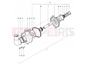 MV Agusta 2007 F4 Claudio Castiglioni Water Pump