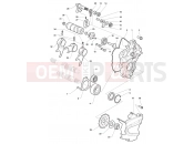 MV Agusta Stradale 800 Gear Selector Assembly