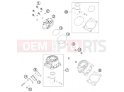 KTM 50 SX (6001L4) [EU] 2012 CYLINDER, CYLINDER HEAD
