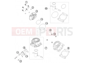 KTM 50 SX MINI (6001I5) [EU] 2009 CYLINDER, CYLINDER HEAD