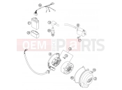 KTM 85 SX (6001D8) [EU] 2004 IGNITION SYSTEM