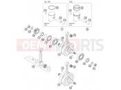 CRANKSHAFT, PISTON - KTM 125 SX (6101E0) [EU] 2005