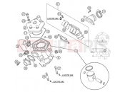 KTM 65 SX (600136) [EU] 2003 CYLINDER