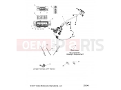 INDIAN SPRINGFIELD ALL OPTIONS (R04) (N18THAAA) ELECTRICAL | ELECTRICAL, WIRE HARNESS - N18THAAA ALL OPTIONS (200248)