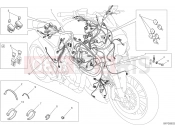 DUCATI Diavel Carbon WIRING HARNESS [MOD:DVLC]