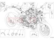 DUCATI 2017 Monster 1200 R WIRING HARNESS [MOD:M 1200R]